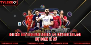 Soi Kèo Nottingham Forest Vs Crystal Palace - Dự Đoán Tỉ Số